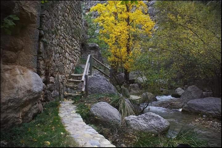 Photo of Others in Olba