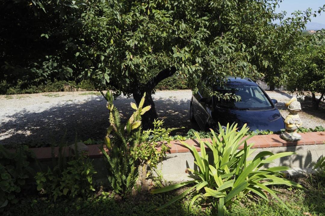 Photo of Outdoor in San Nico