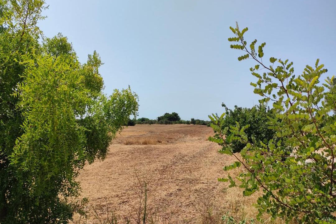 Photo of Others in Brindisi