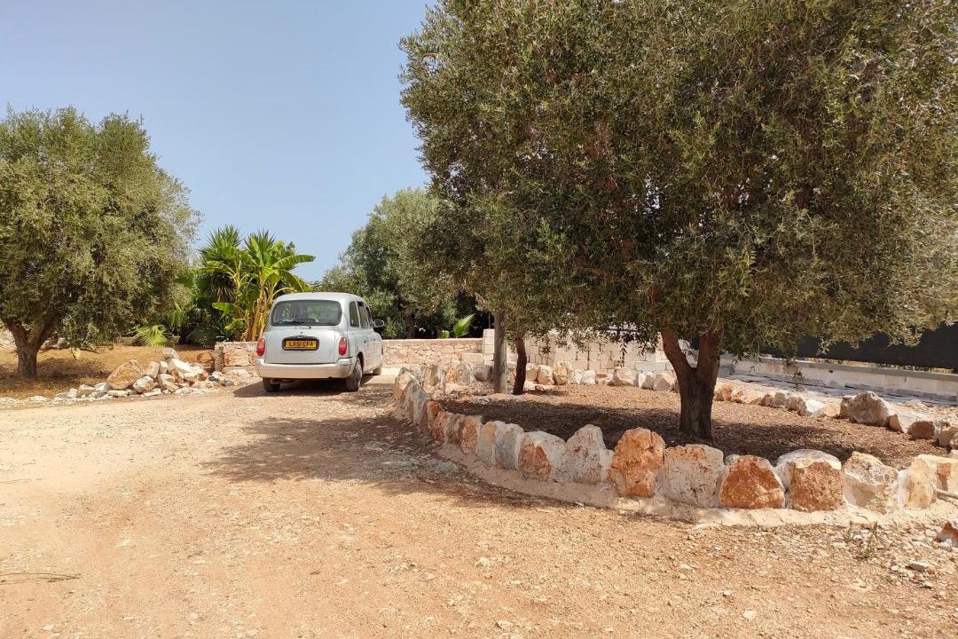 Photo of Others in Brindisi