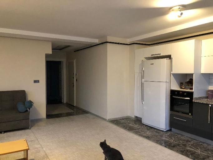 Photo of Kitchen in Seyhan