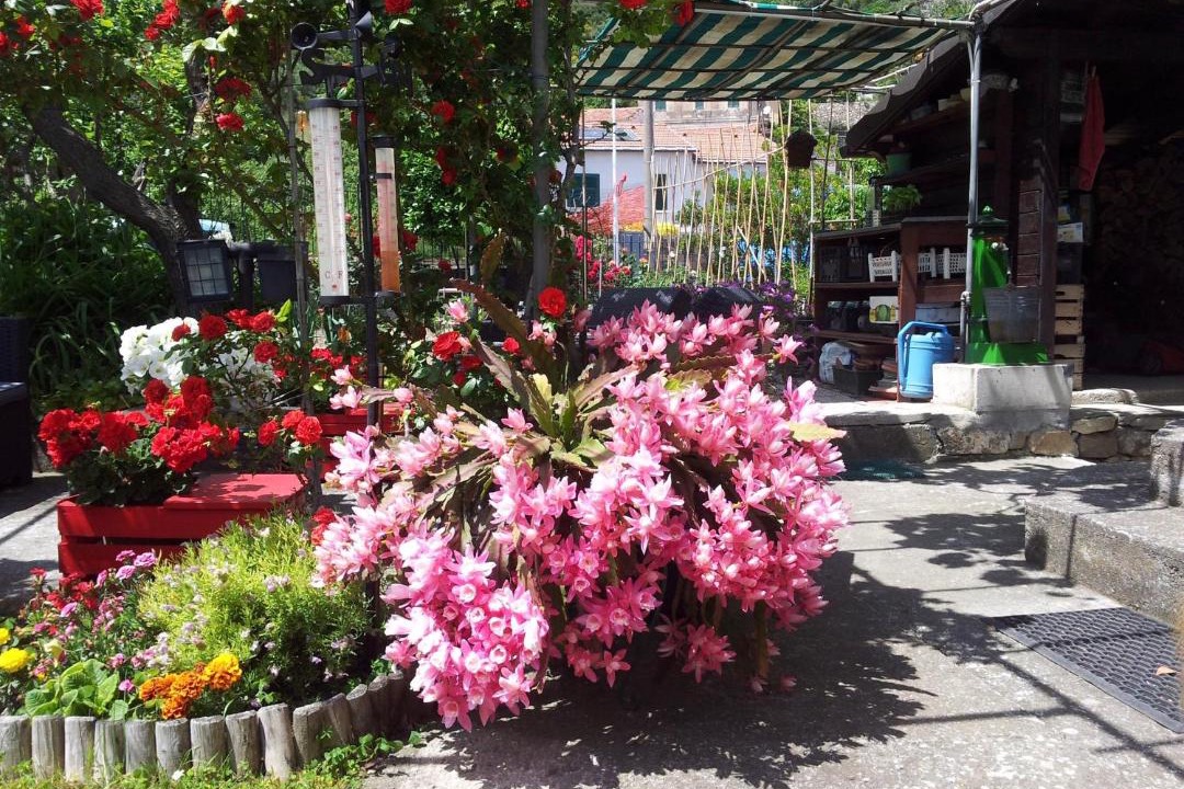 Photo of Outdoor in Diano Arentino