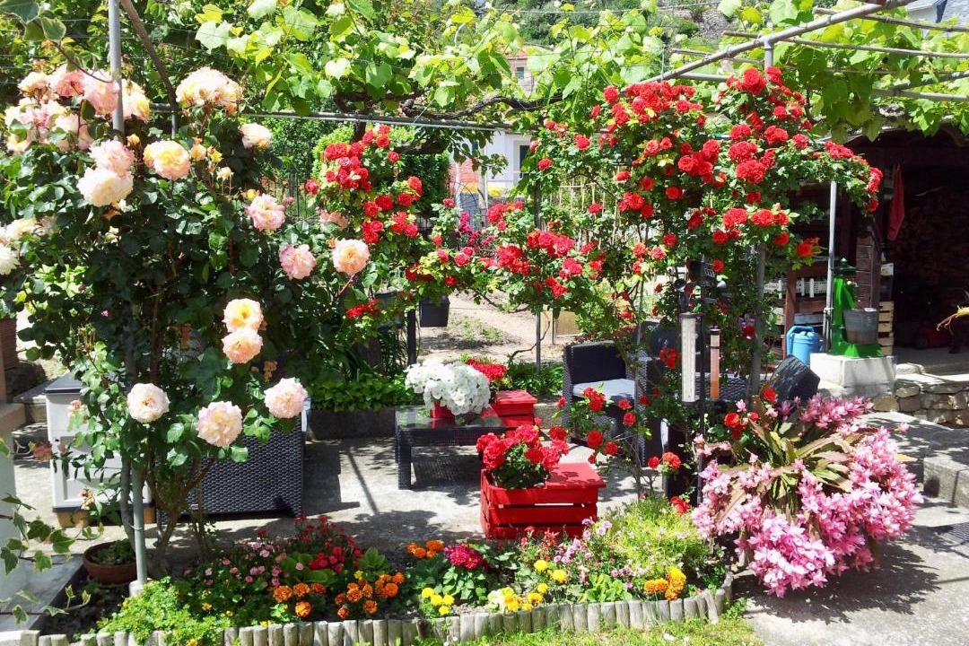 Photo of Outdoor in Diano Arentino