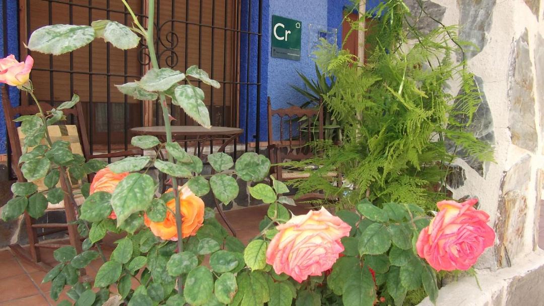 Photo of Others in Molina de Segura