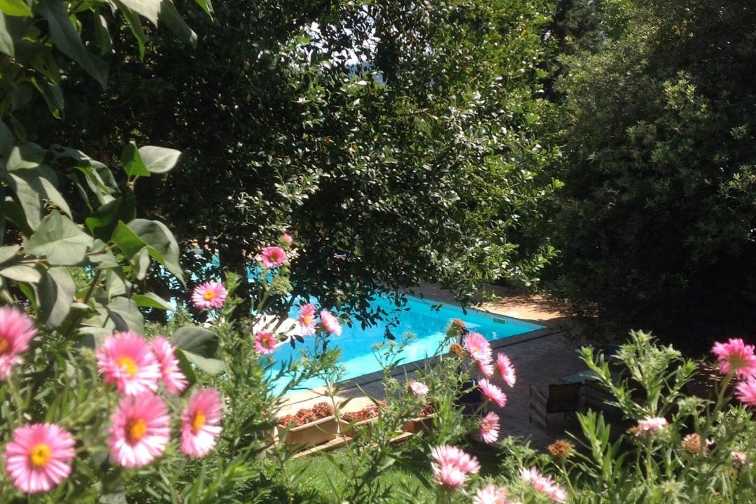 Photo of Others in Todi