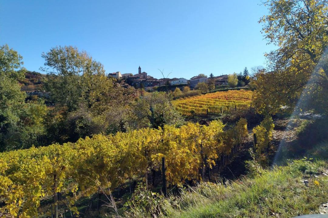 Photo of Outdoor in Montabone