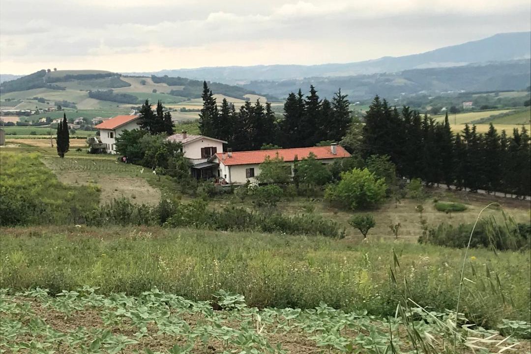 Photo of Others in Nocciano