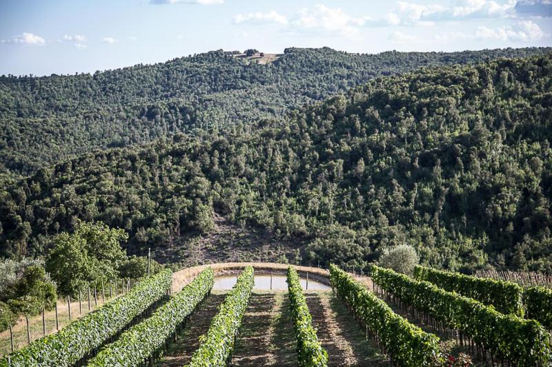 Photo of Others in Civitella Paganico