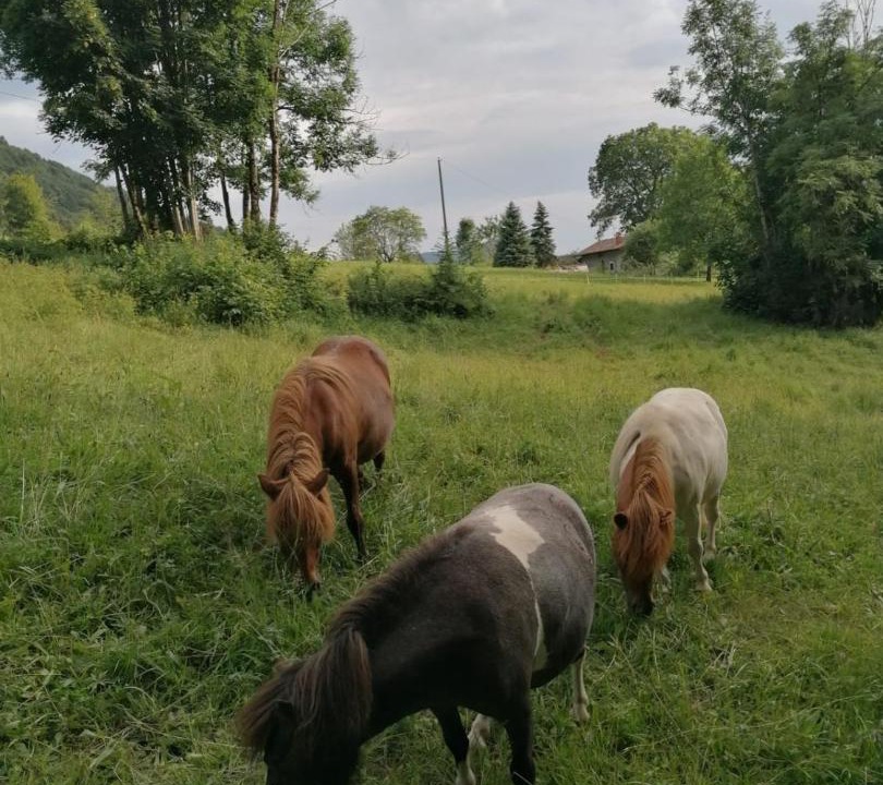 Photo of Others in Serina