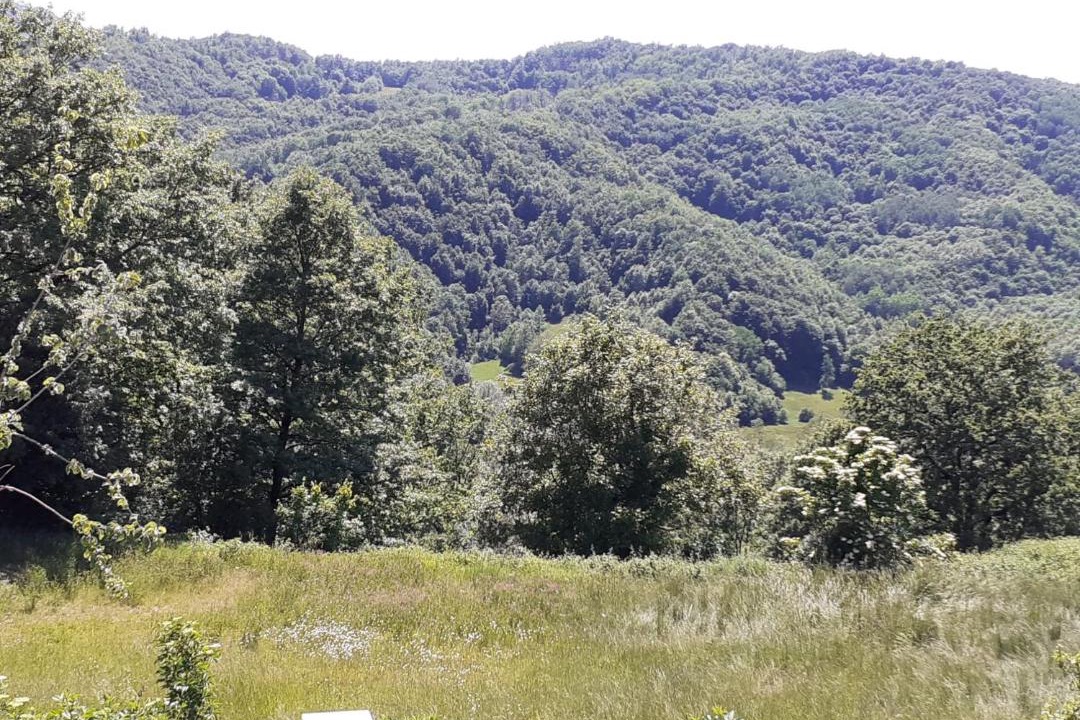 Photo of Outdoor in Sante Marie