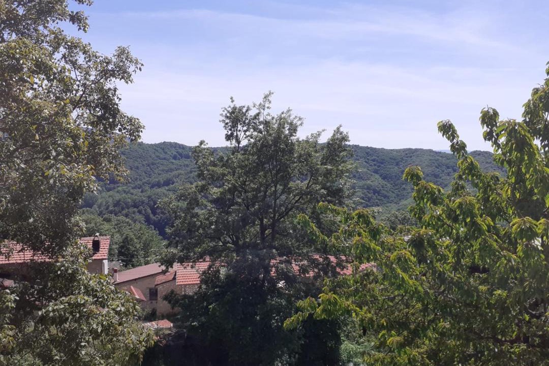 Photo of Outdoor in Sante Marie