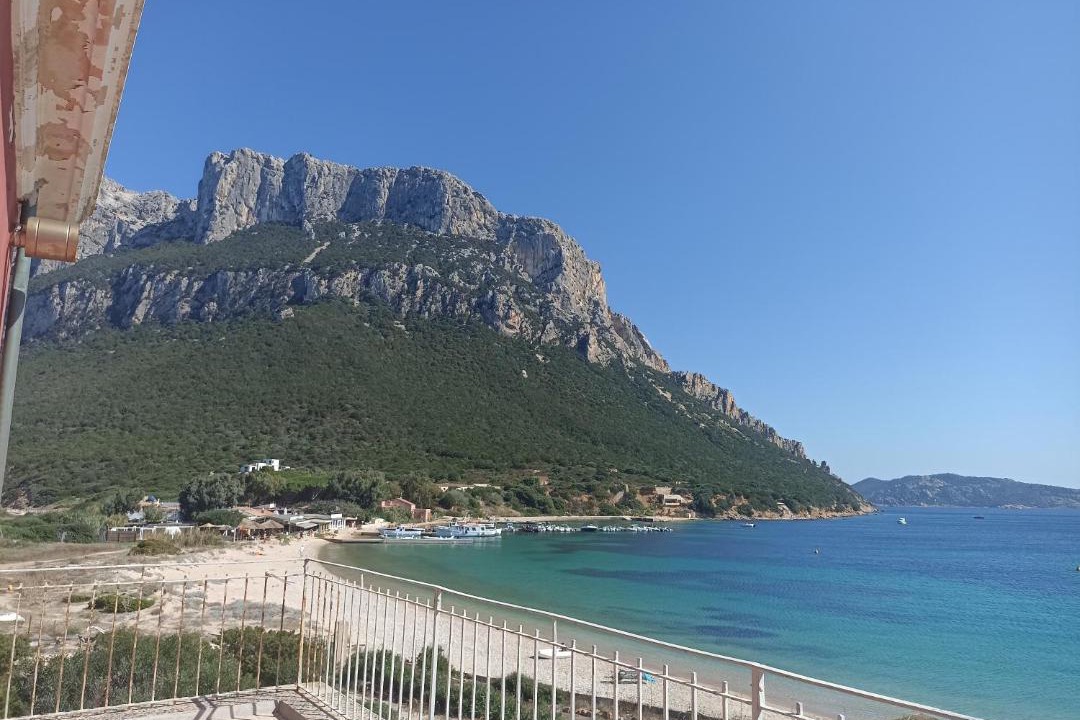 Photo of Outdoor in Murta Maria