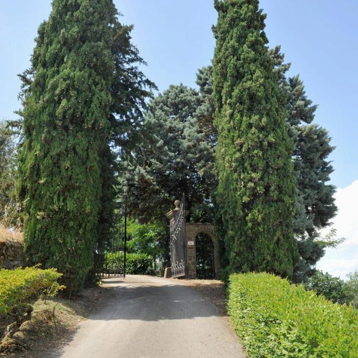 Photo of Others in Monte San Savino