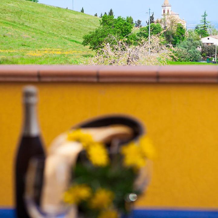 Photo of Others in Castel San Pietro Terme