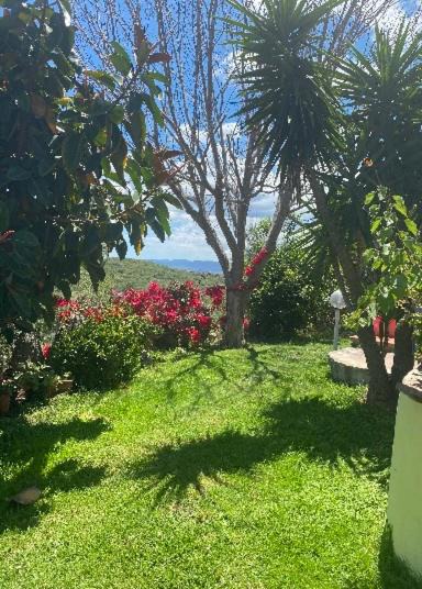 Photo of Outdoor in Olbia
