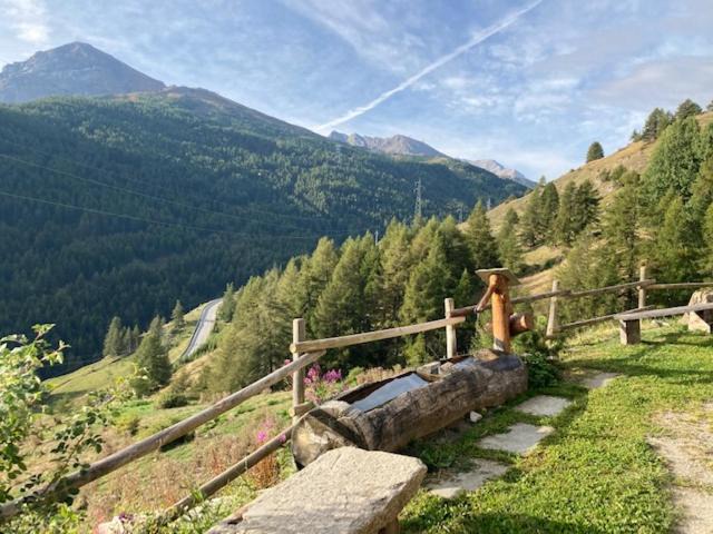 Photo of Others in Pragelato
