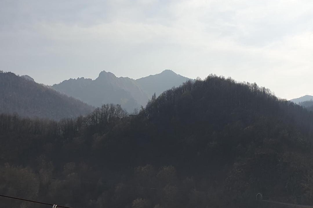 Photo of Others in Mezzenile