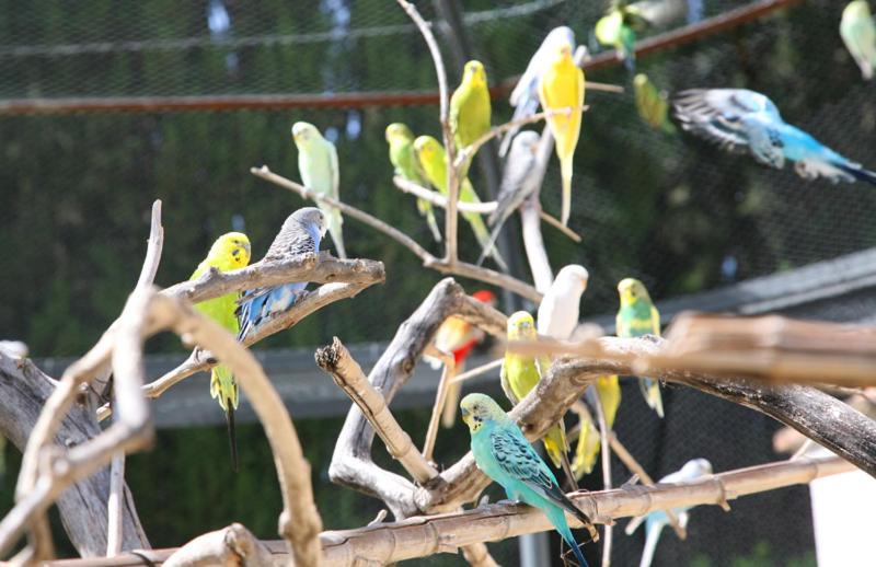 Photo of Others in Campagnatico