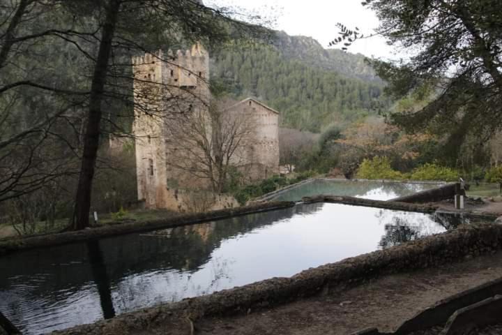 Photo of Others in Polinya de Xuquer