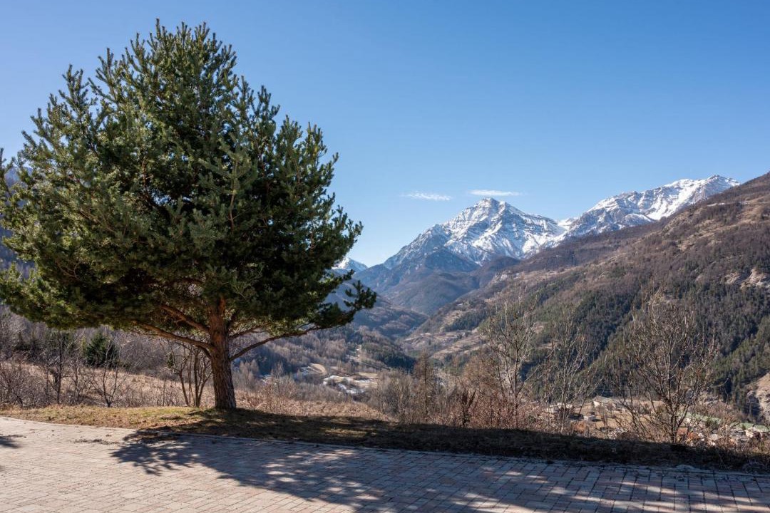 Photo of Others in Sauze d'Oulx