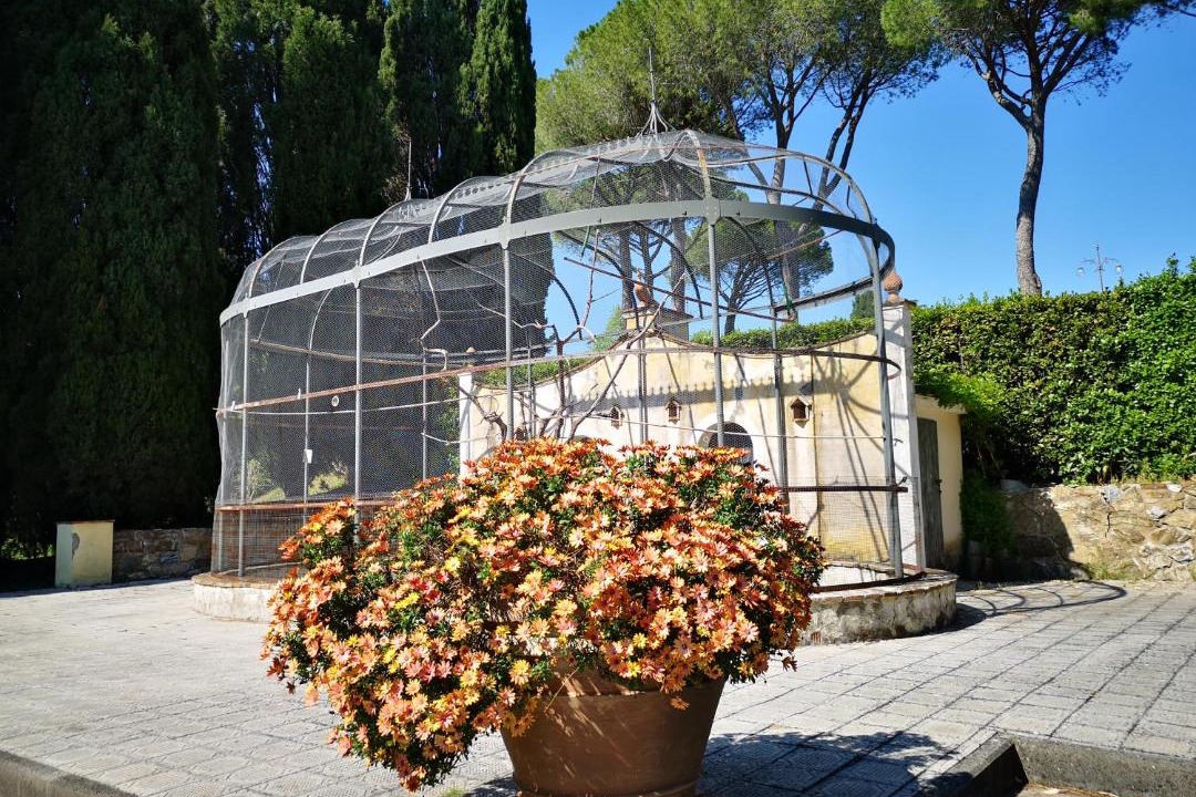 Photo of Others in Campagnatico