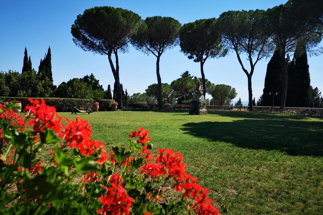 Photo of Others in Campagnatico