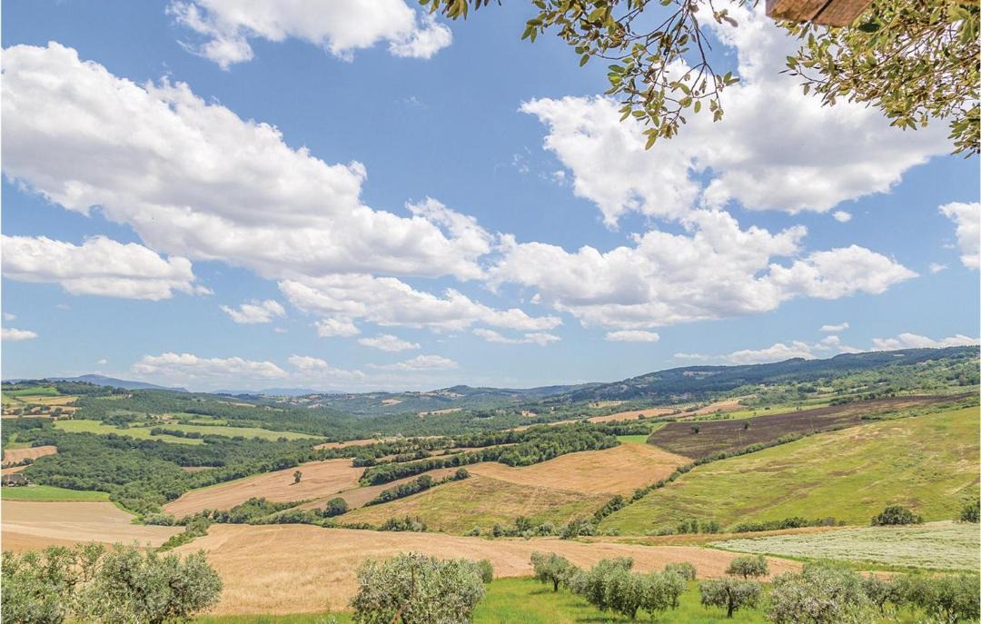 Photo of Outdoor in Monte Petriolo