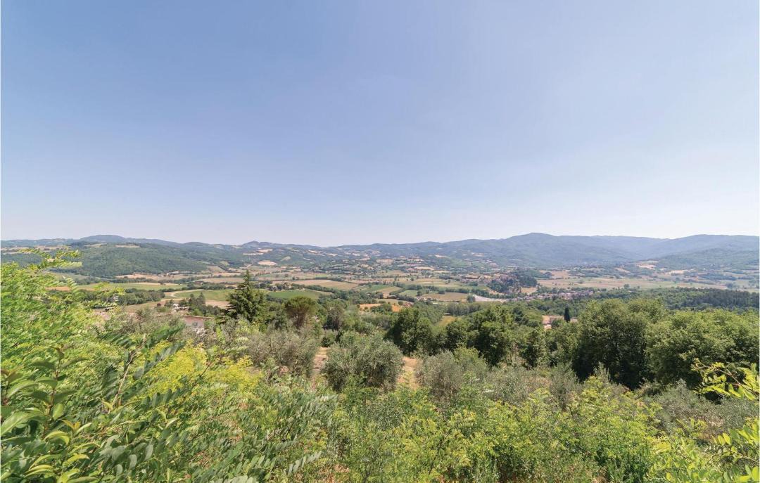 Photo of Outdoor in Monte Petriolo