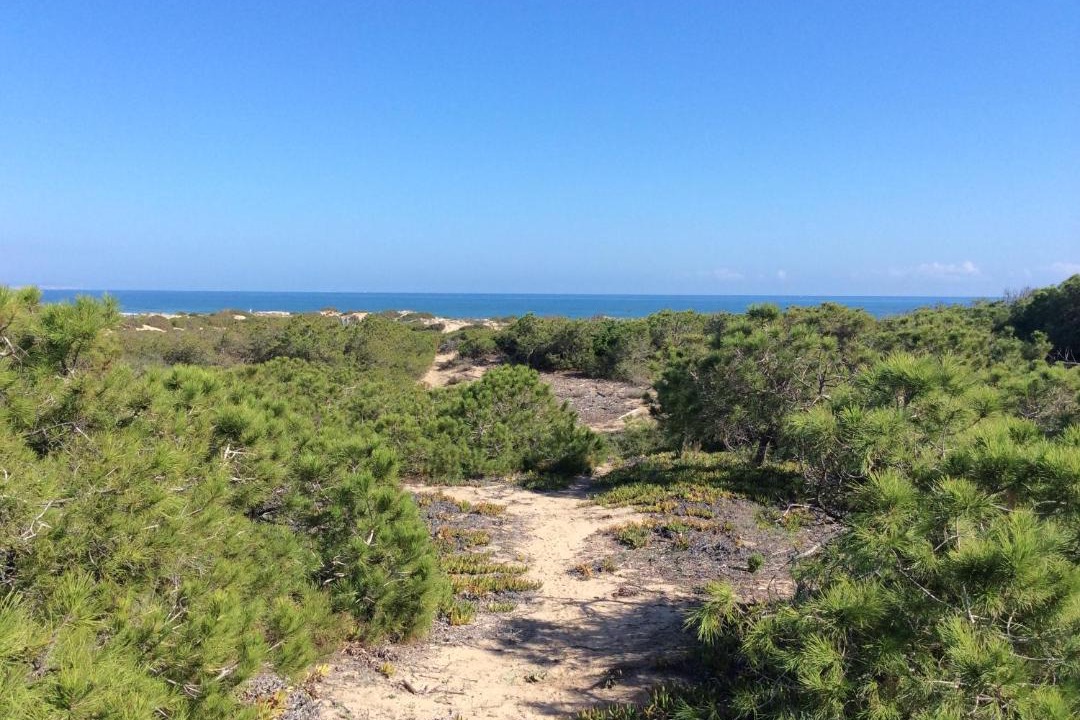 Photo of Outdoor in Torrevieja