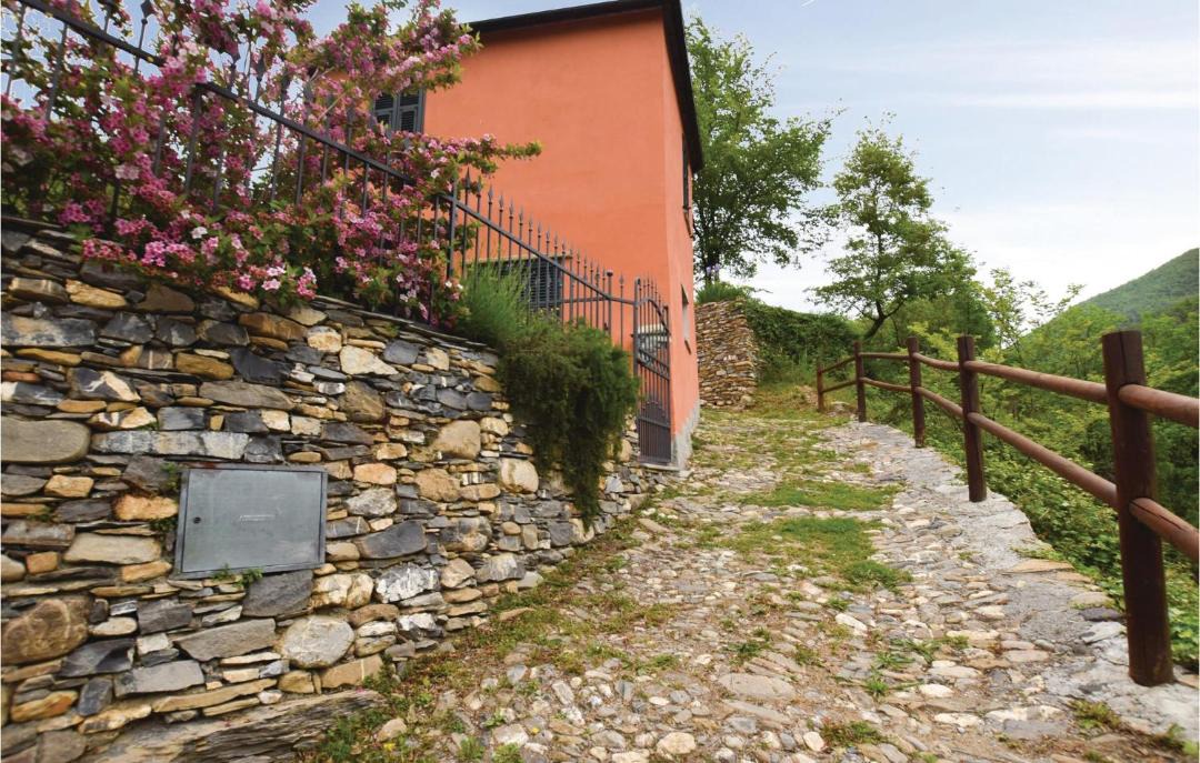 Photo of Others in Pieve di Teco