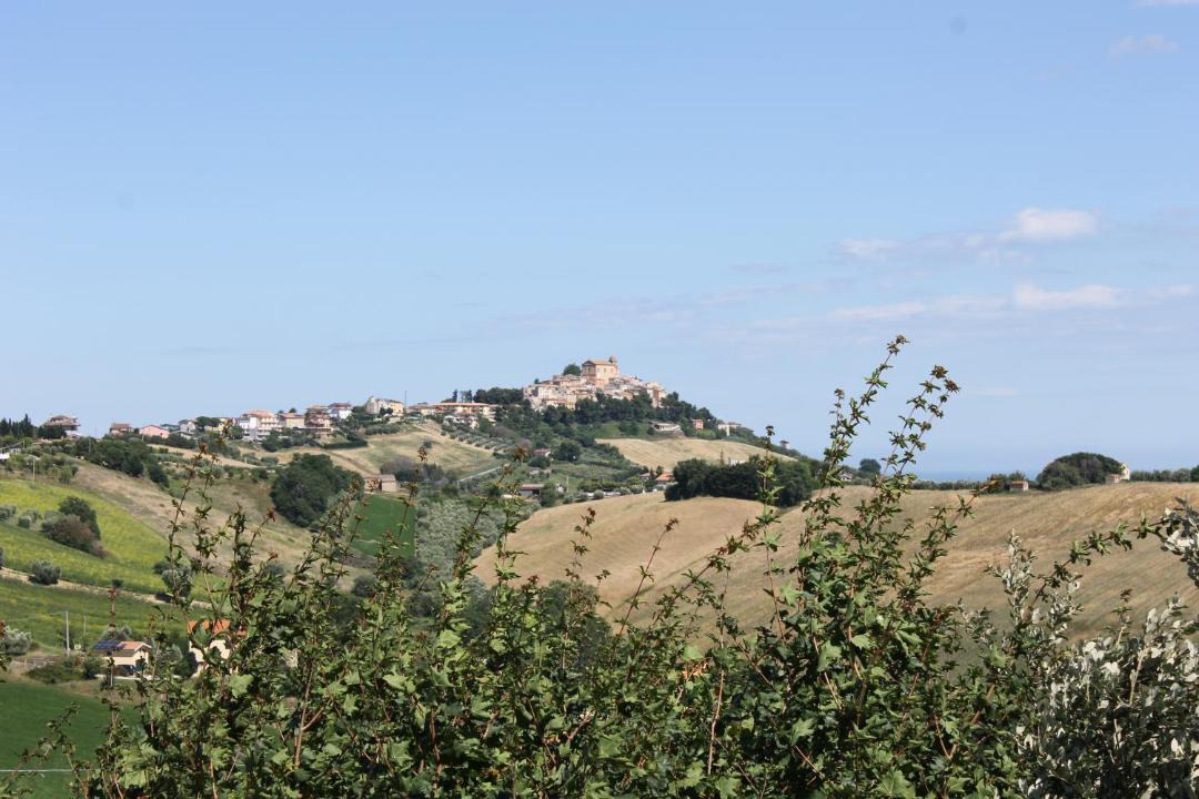 Photo of Others in Acquaviva Picena