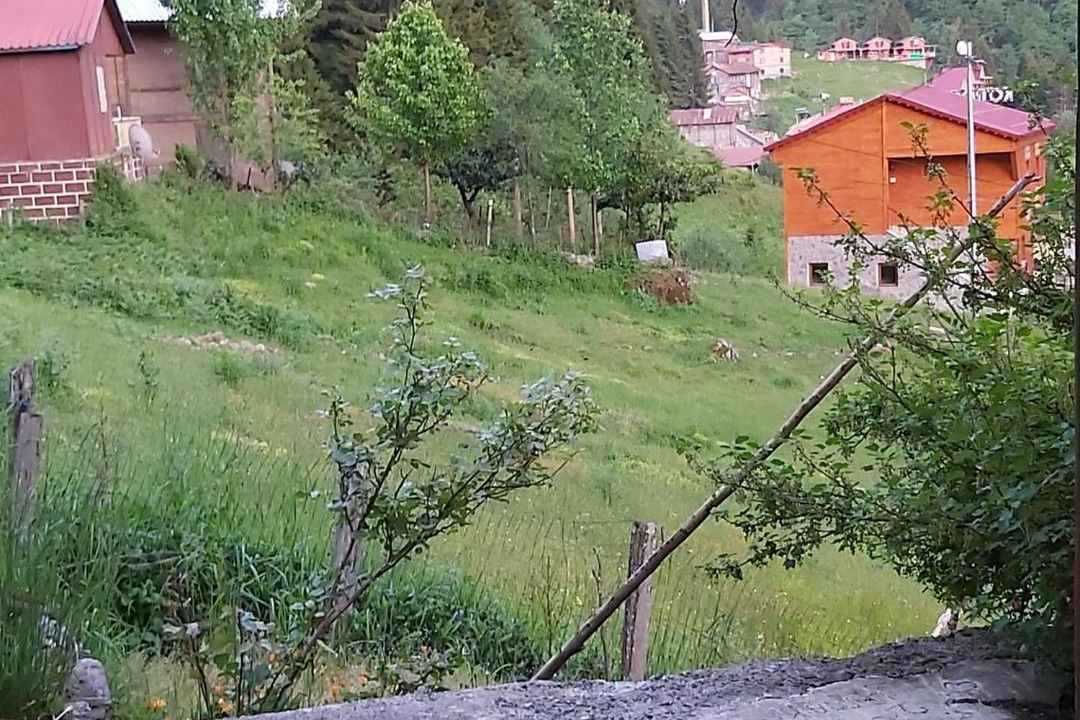 Photo of Buildings in Ayder Yaylasi