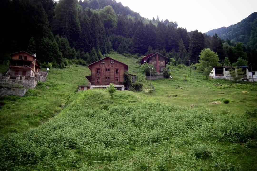 Photo of Others in Ayder Yaylasi