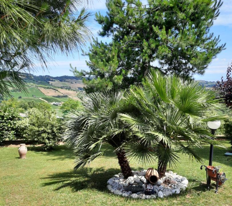 Photo of Others in Acquaviva Picena