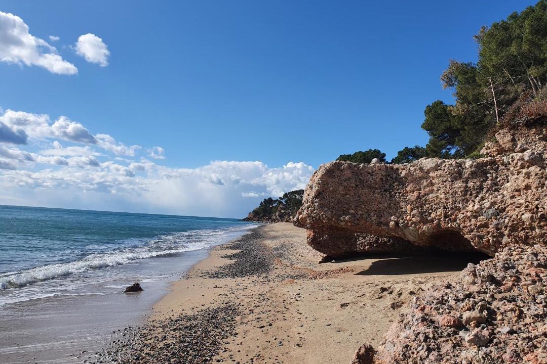 Photo of Outdoor in Miami Platja