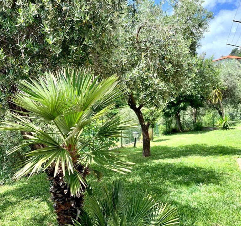 Photo of Outdoor in Bolano