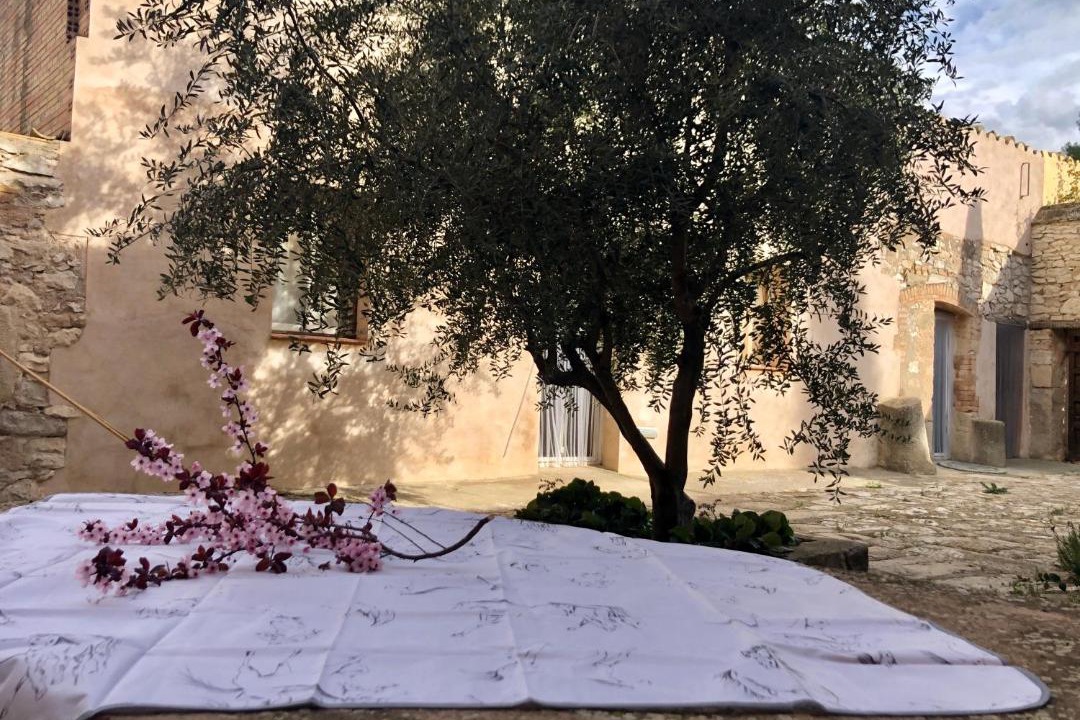 Photo of Buildings in Belianes
