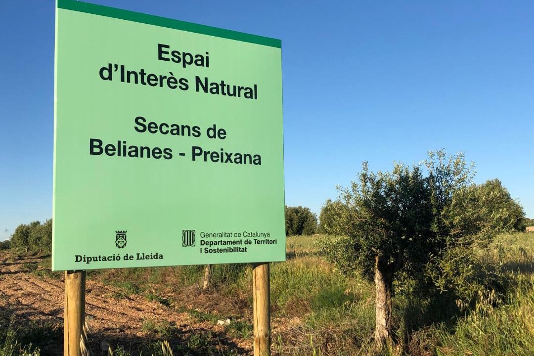 Photo of Buildings in Belianes