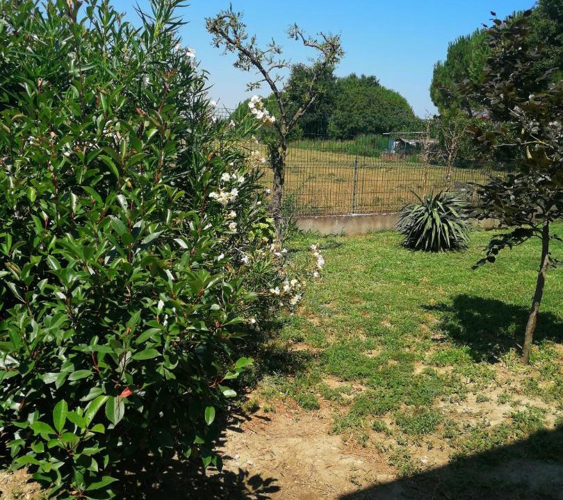 Photo of Outdoor in Savio