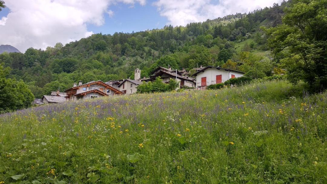 Photo of Others in Casteldelfino