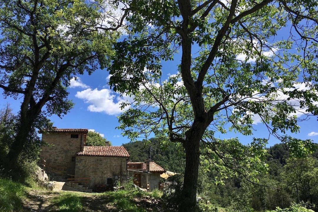 Photo of Others in Sant Pere de Torello