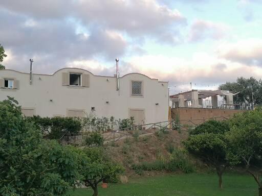 Photo of Others in Licola
