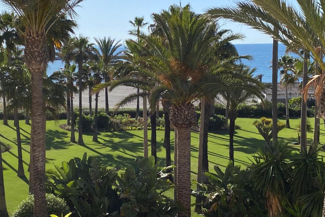 Photo of Others in Sotogrande