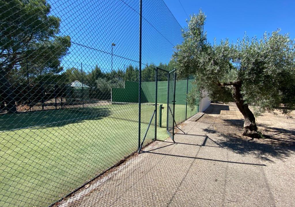 Photo of Outdoor in Olias del Rey