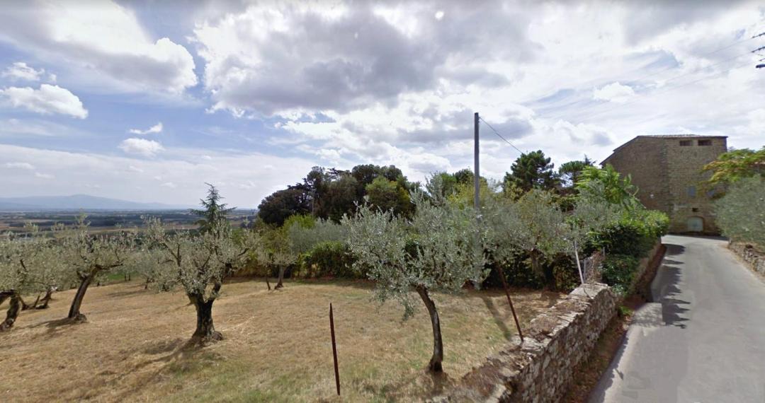 Photo of Others in Oliveto