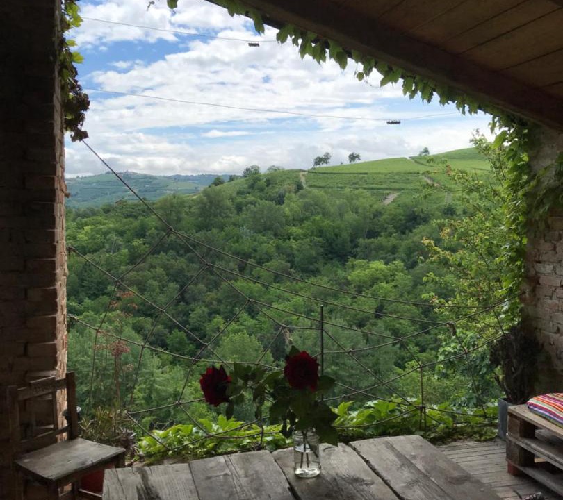 Photo of Others in Serralunga d'Alba