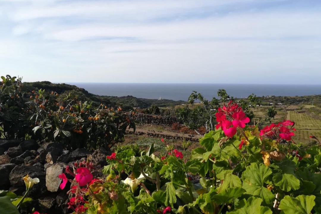Photo of Outdoor in Pantelleria