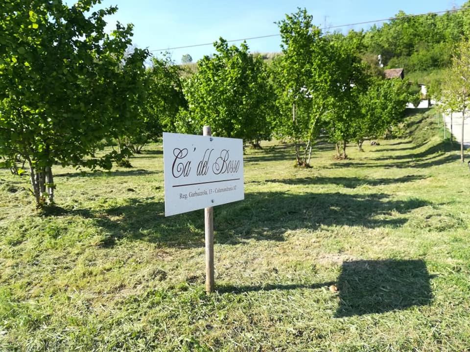 Photo of Others in Calamandrana