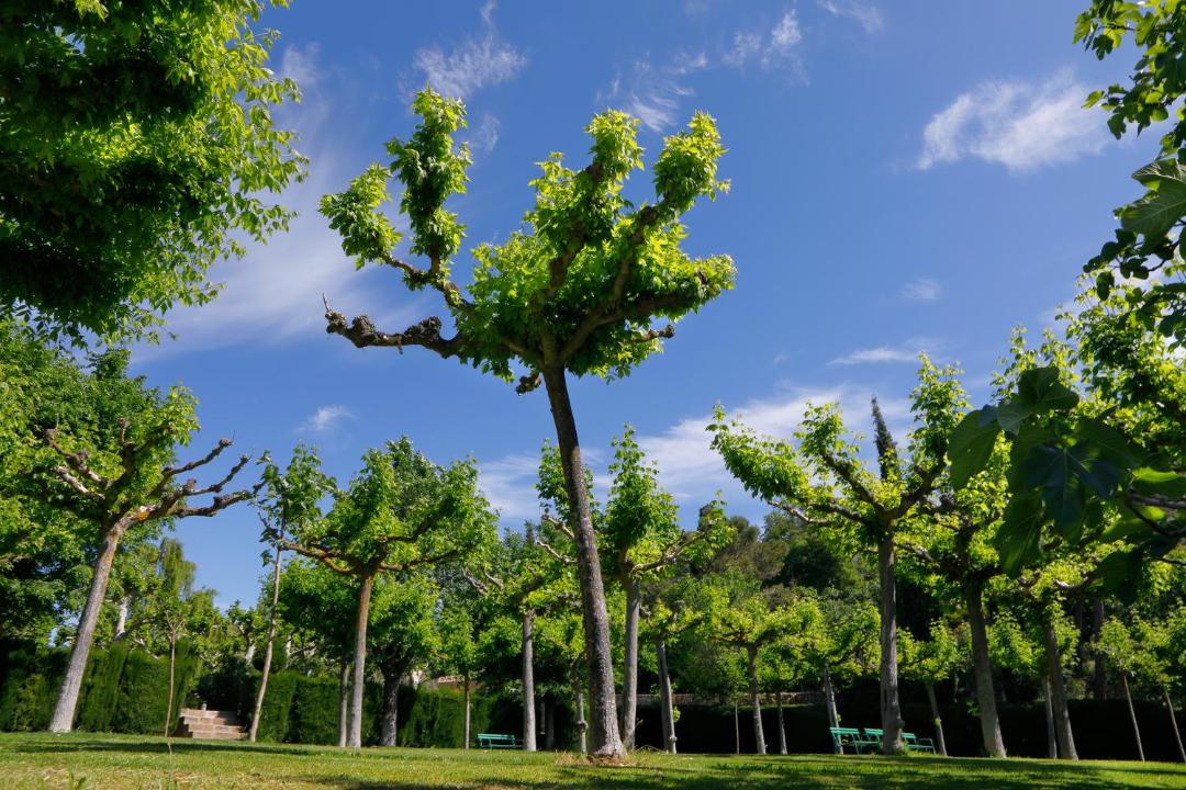 Photo of Outdoor in Os de Balaguer