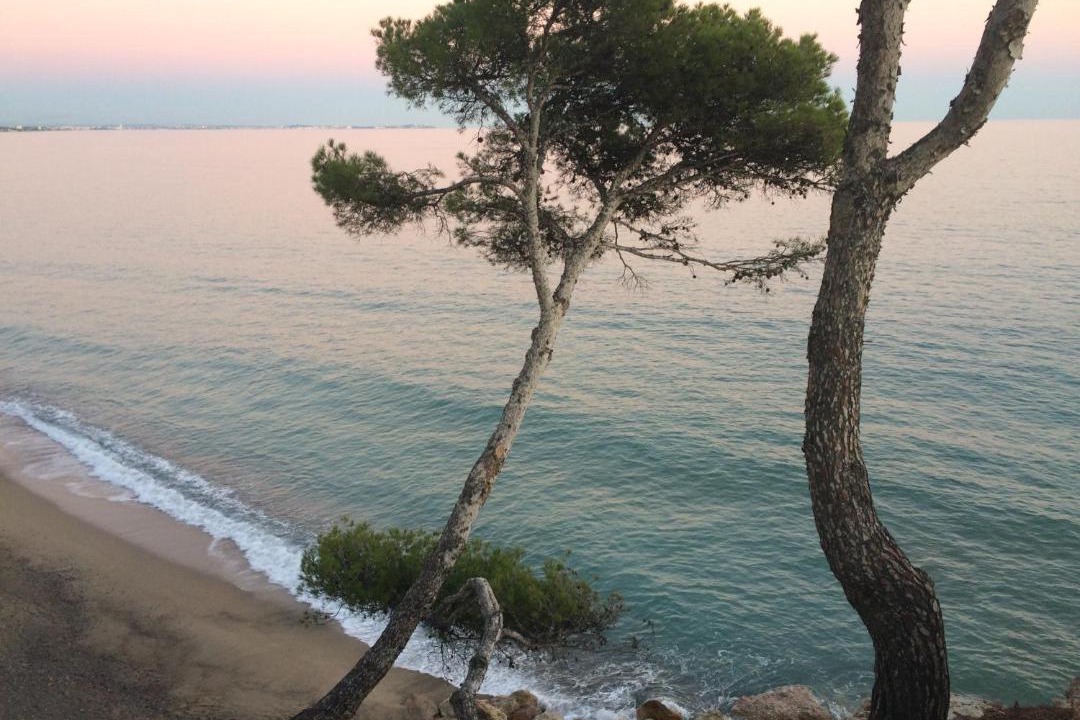 Photo of Outdoor in Miami Platja